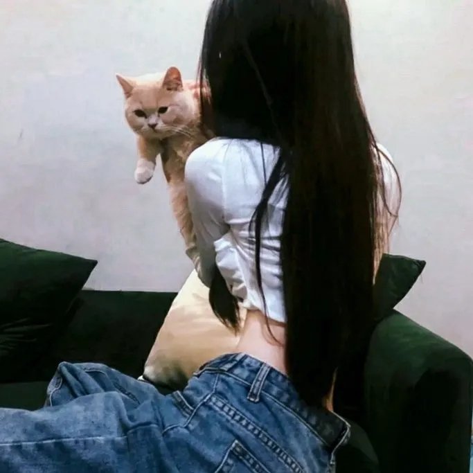 紧急迫降